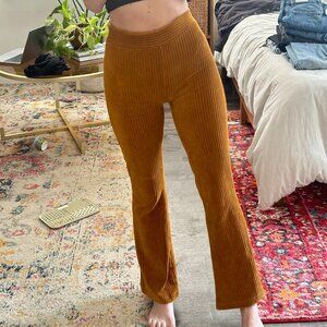 Golden Velvet Flare plants